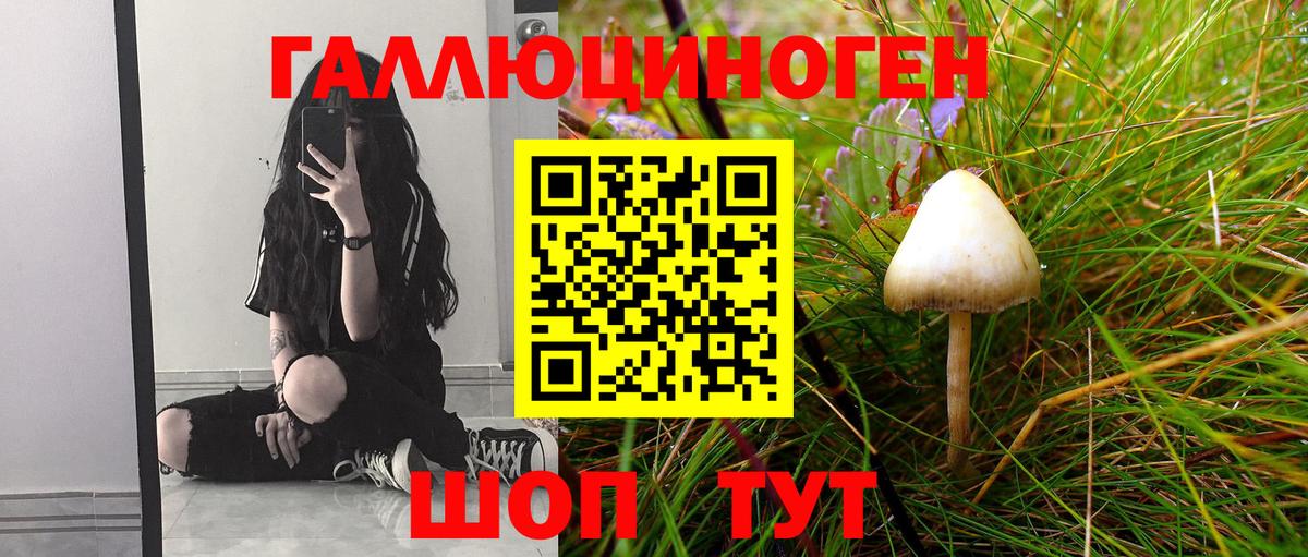 закладки  Вход с VPN  Крымск  Псилоцибиновые грибы GOLDEN TEACHER 