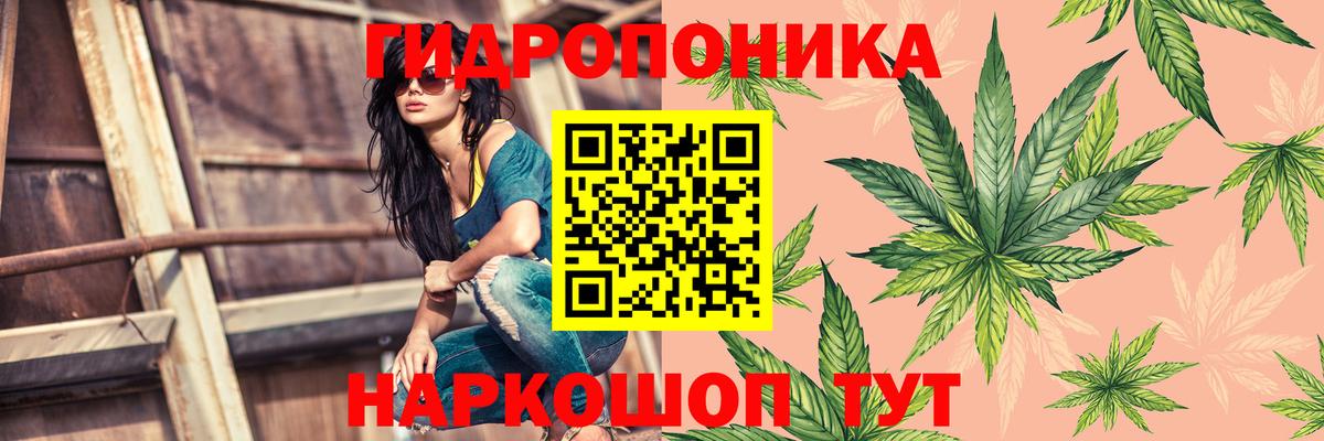 МАРИХУАНА сатива  Бошки Шишки тримм  Вход с VPN  Шишки марихуана план  МАРИХУАНА тримм  Крымск 